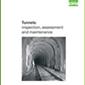 Tunnels: inspection, assessment and maintenance