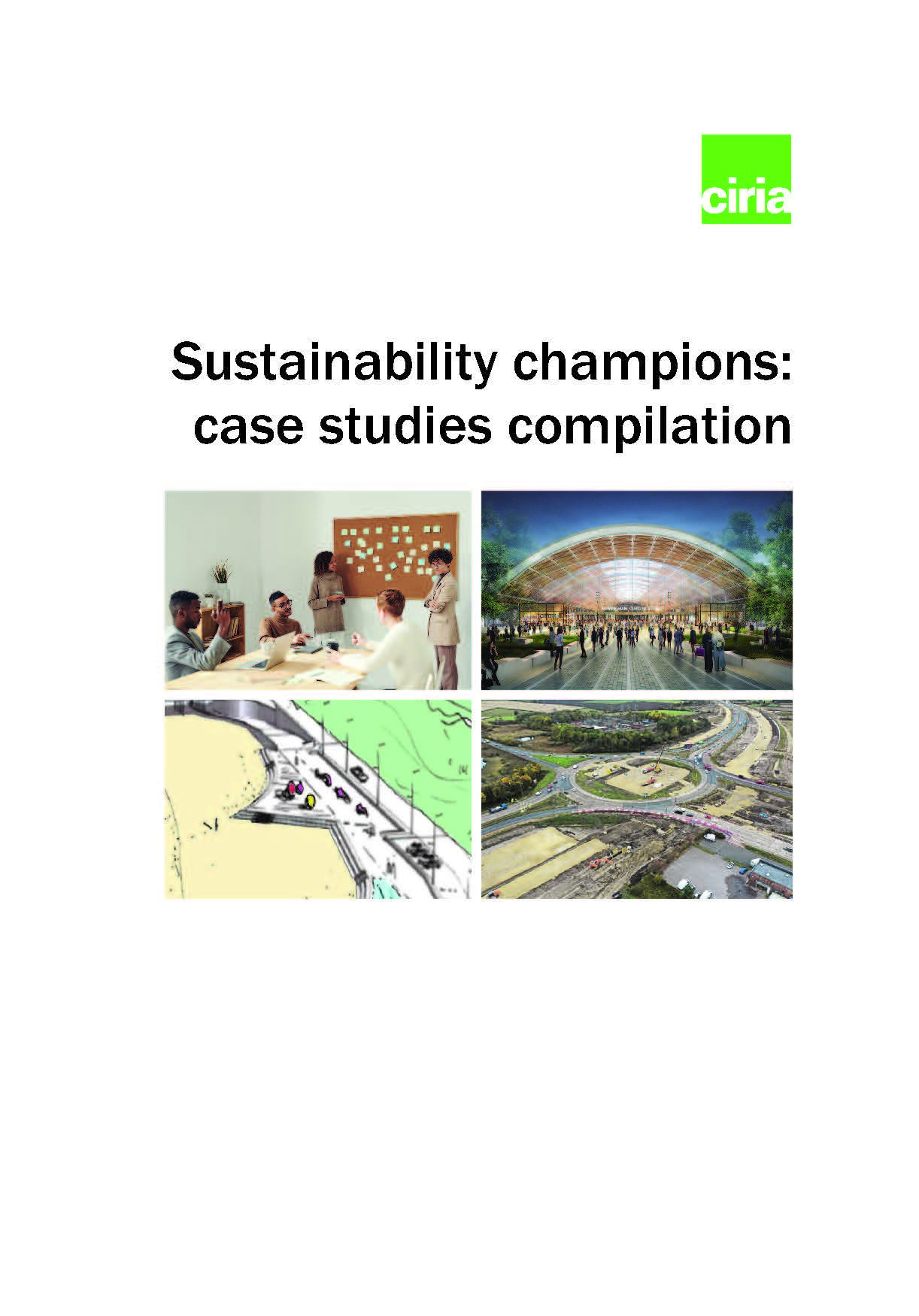 Sustainability champions: case studies compilation