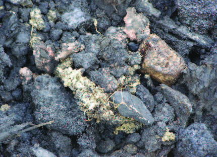 Asbestos Site Aid